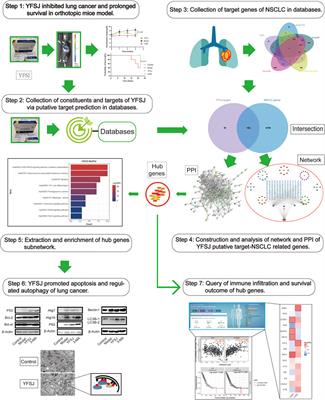 Deciphering the Effects and Mechanisms of Yi-Fei-San-Jie-pill on Non-Small Cell Lung Cancer With Integrating Network Target Analysis and Experimental Validation